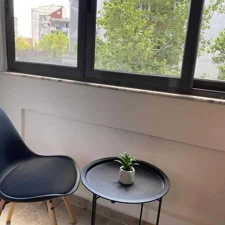 Newly Renovated Urban Oasis Apartment